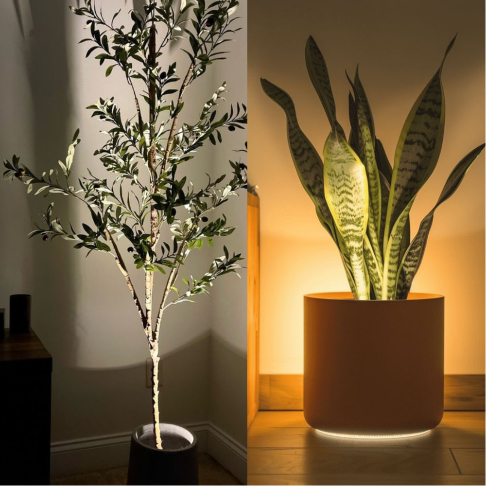 LED Spot Kabellos RGB Dimmbar mit Fernbedienung – Mini Pflanzen Licht & Stimmungsleuchte Innen